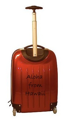 Baggage Fees:  Billions Made in 2009; Hawaii Fees