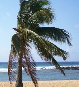 LAX to HNL $99 Late Summer/Fall Including Thanksgiving