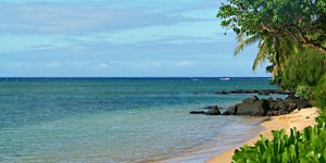 Maui Airport Beach Layover Find