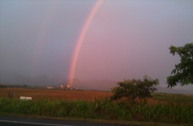 rainbow6
