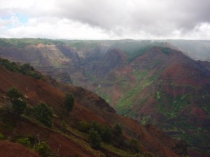 waimea cyn