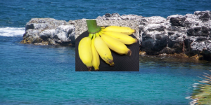 Hawaii: A Banana Lovers Destination