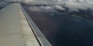 Fly Inter-Island $49