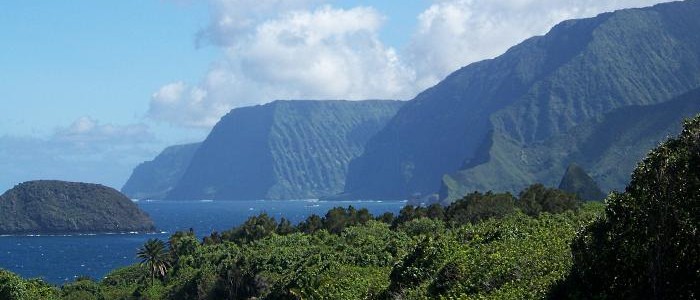 Molokai Sea Cliffs