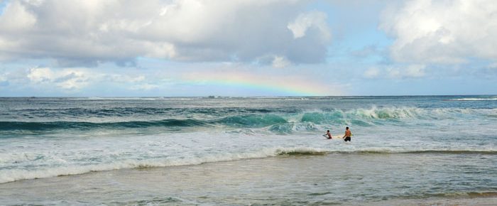 Hawaii surf