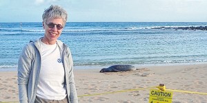 Volunteer Hawaii Vacation with Hawaiian Monk Seal