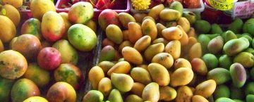 Hawaiian Fruit | Beat of Hawaii