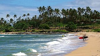 Hawaii beach safety