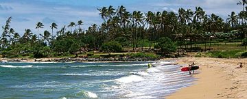 Hawaii beach safety