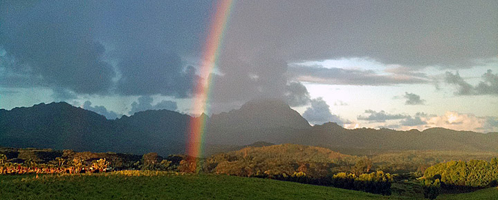 Hawaii deal | Hawaii rainbow