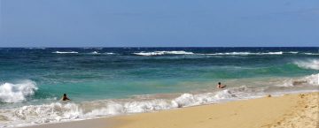 Hawaii Beach Safety