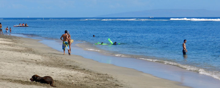 Maui Beach