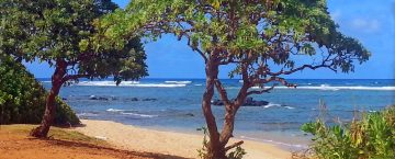 Hawaii Deals This Spring From $242 RT