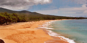 Hawaii Deals From New York to Maui $240 Each Way