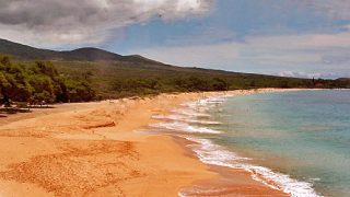 Hawaii Deals Big Beach Maui
