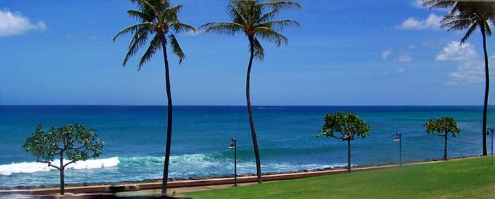 Hawaii Deals from $318