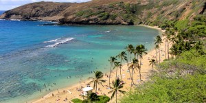 A Connection Between Hawaii Snorkeling Drowning and Air Travel?