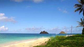 Flight to Hawaii – Cost Impact by Region