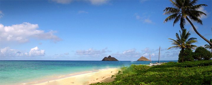 Flight to Hawaii – Cost Impact by Region