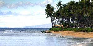 Escape To Maui: Living In Disgrace Never Looked This Good!