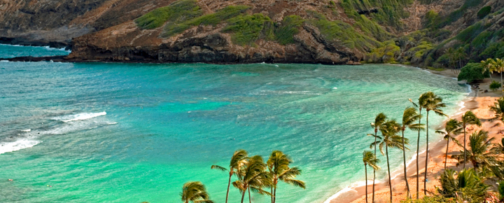Most Dangerous Hawaii Beaches, Snorkeling Deaths + New Warnings