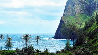 Win A Free Trip to Hawaii Sweepstakes | West Maui Loop