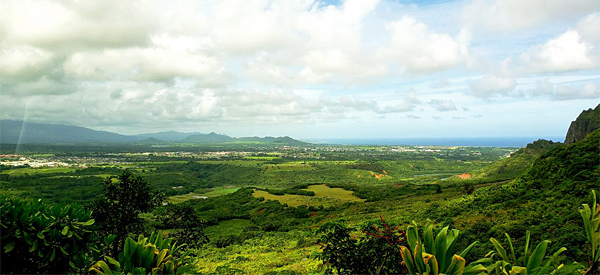 Hawaiian Airlines tilbud