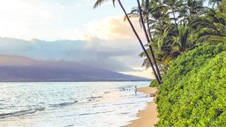The Best Hawaii Deals Ever Among 2020 Predictions