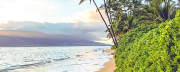 The Best Hawaii Deals Ever Among 2020 Predictions