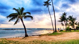 Hawaiian Airlines Routes Cancelled Until June