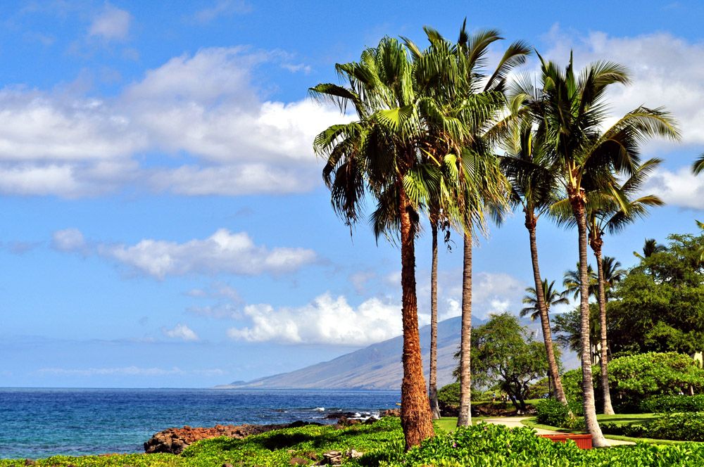 Hawaii Travel News, Tips, Culture, Events, And Deals. - Comment Policy