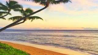 Hawaii in The News: Reopening Soon? What About Travel?