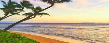 Hawaii in The News: Reopening Soon? What About Travel?