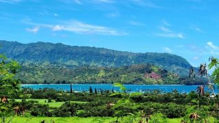 Wrong Data and Missteps May Further Delay Hawaii Travel