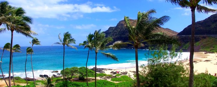 All Signs Point To Ending Restrictions + Hawaii Travel Recovery
