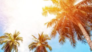 "Beat the Heat: Why Hawaii Stays Cool When the Mainland Sizzles"