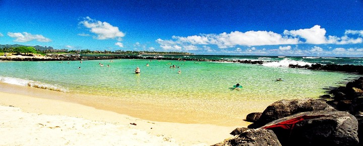 Shark Closes Lydgate Beach Kauai | Sharks in Hawaii