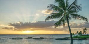 Utopia Found | Hawaii By Old Dominion