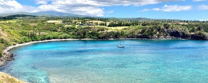 Honolua Maui Bay