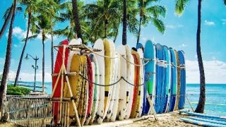 Visitors Change Up Booking Hawaii As Bookings Defy Reason