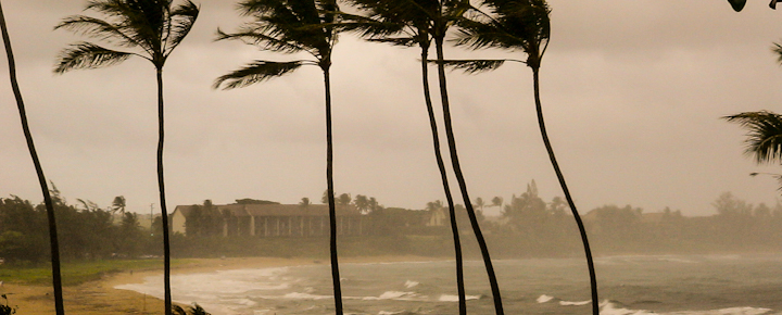 Hawaii Hurricane Darby