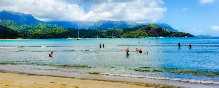 Are You The Vacationer Hawaii Desires? New Find out about.