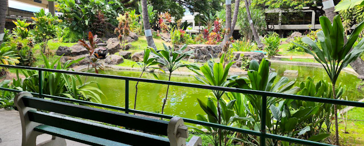 Honolulu Airport Cultural Gardens are Hidden Find in Plain Sight