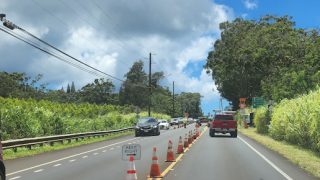 If Hawaii Flight Delays/TSA Don't Get You, Traffic + Parking Will
