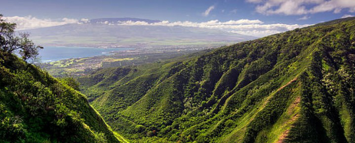 Hawaii travel should be slow.  But why not?