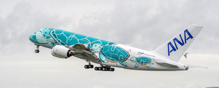 Flying Honu ANA  Hawaii Tourism Strained As 5 Airlines Add Japan Flights &#8211; Beat of Hawaii PSX 20220815 075850