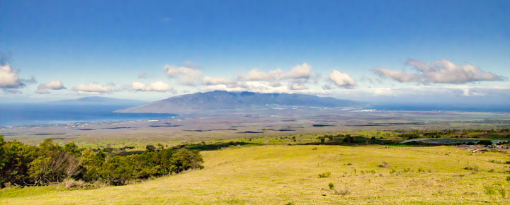 Up country Maui