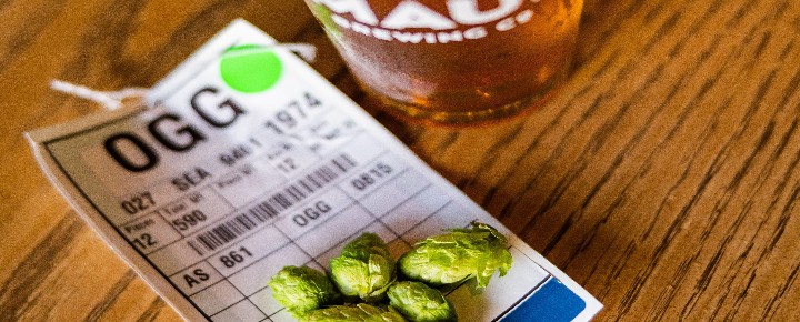 How Maui Brewing + Alaska Airlines Soared to New Heights