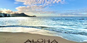Aloha On The Endangered List: Hawaii Gone Wrong