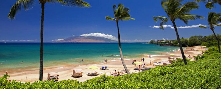 Hawaii Tourism Harpooned As Residents Abandon Ship